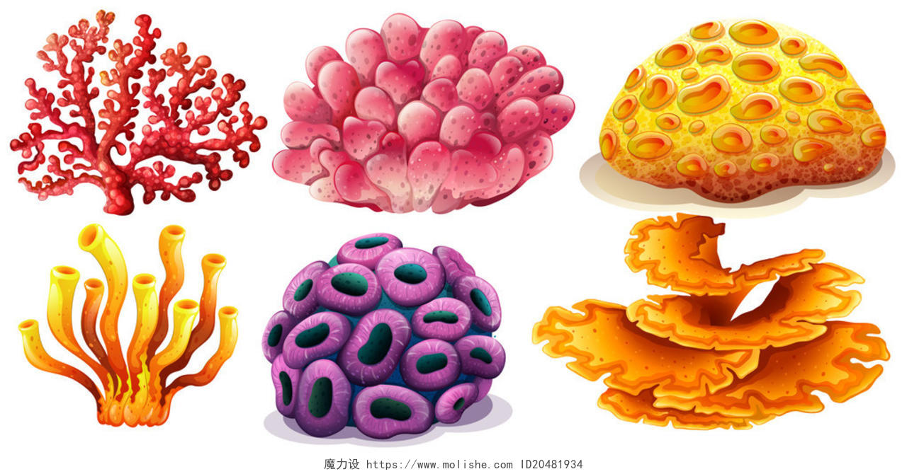 六种不同类型的彩色珊瑚礁